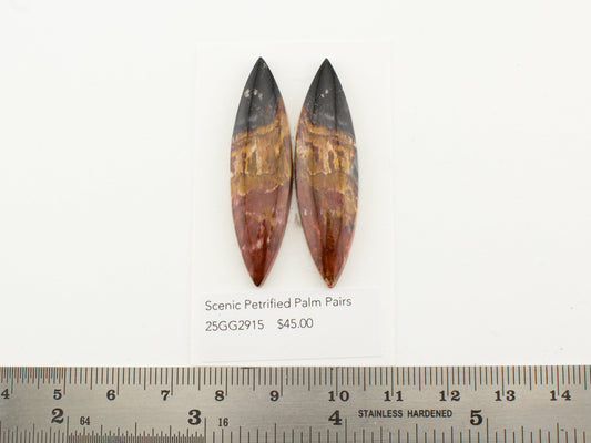 Scenic Petrified Palm Pairs
