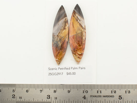 Scenic Petrified Palm Pairs