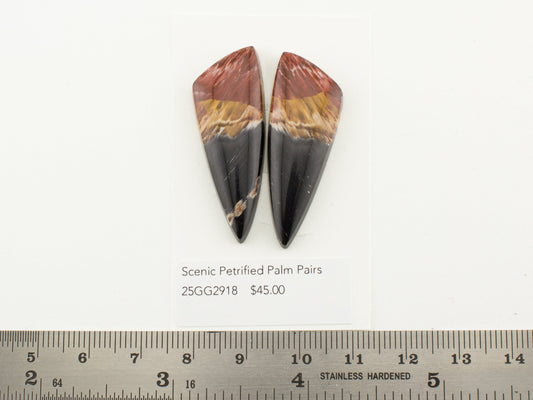 Scenic Petrified Palm Pairs
