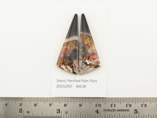 Scenic Petrified Palm Pairs