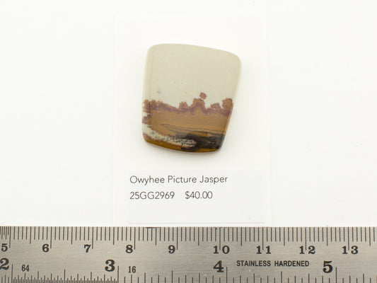Owyhee Picture Jasper