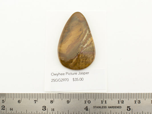 Owyhee Picture Jasper