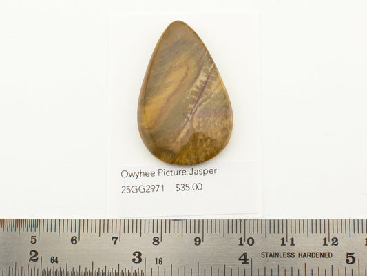 Owyhee Picture Jasper
