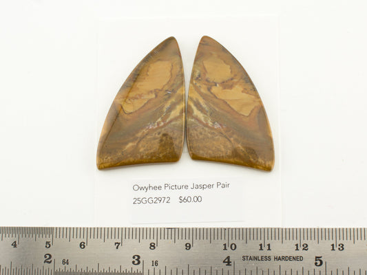 Owyhee Picture Jasper Pair