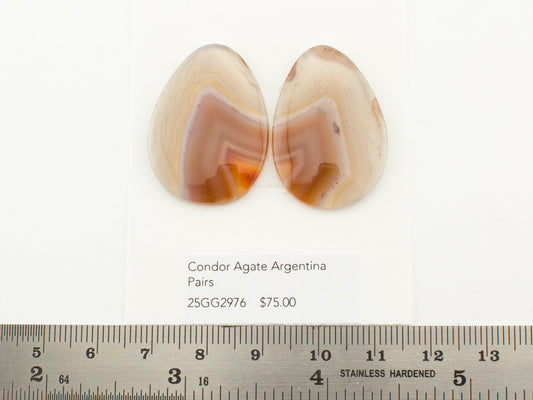 Condor Agate Argentina Pairs