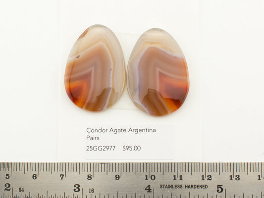 Condor Agate Argentina Pairs