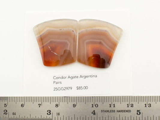 Condor Agate Argentina Pairs