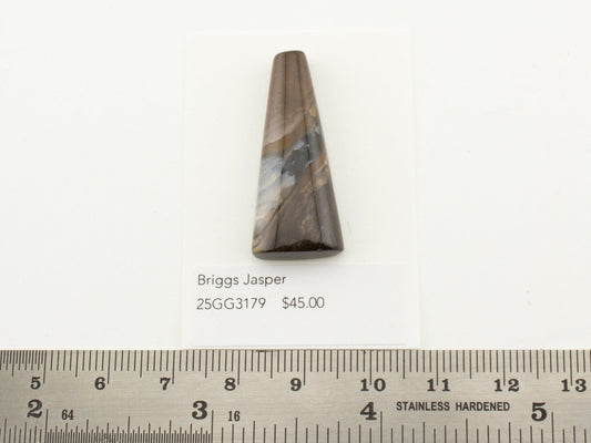 Briggs Jasper