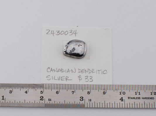 Canadian Dendritic Silver
