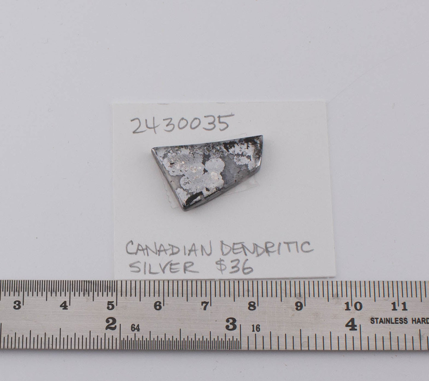 Canadian Dendritic Silver