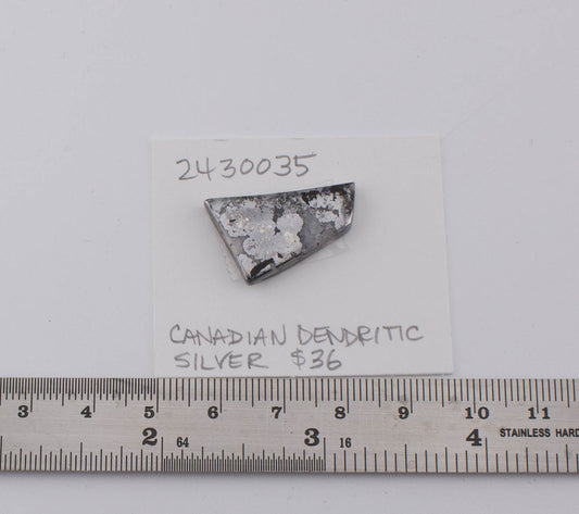 Canadian Dendritic Silver