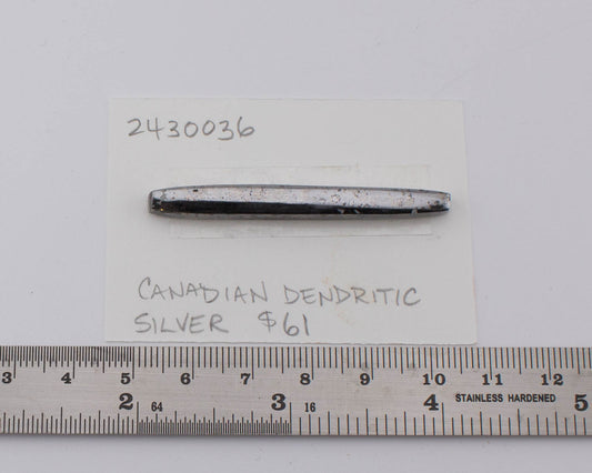 Canadian Dendritic Silver