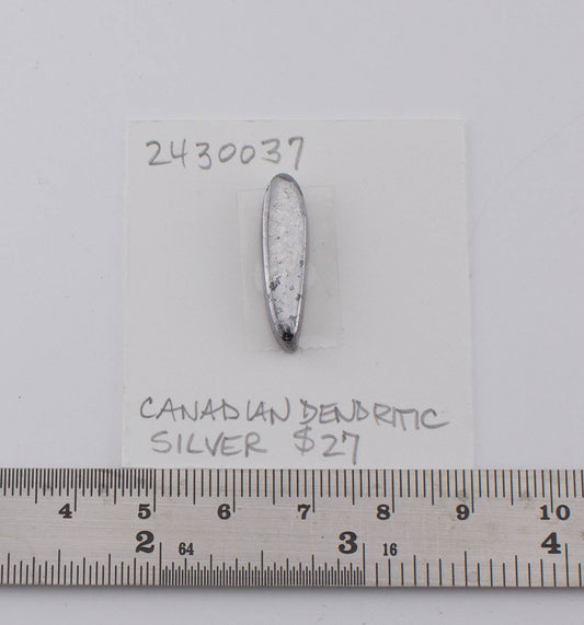 Canadian Dendritic Silver