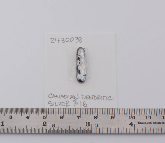 Canadian Dendritic Silver