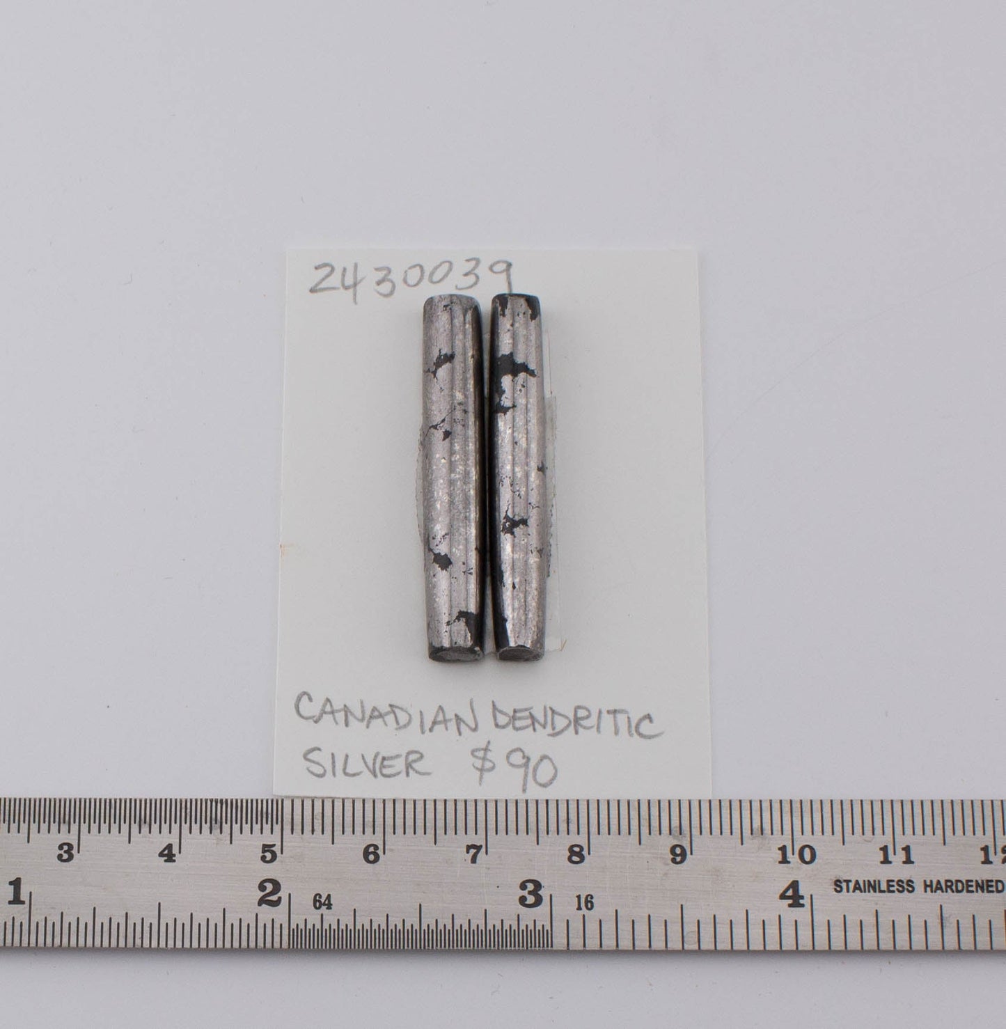 Canadian Dendritic Silver Pair