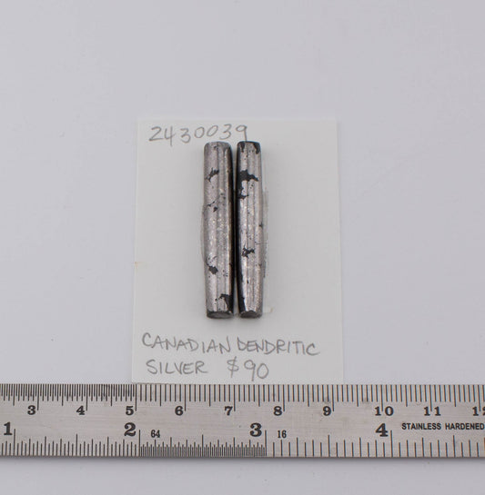 Canadian Dendritic Silver Pair