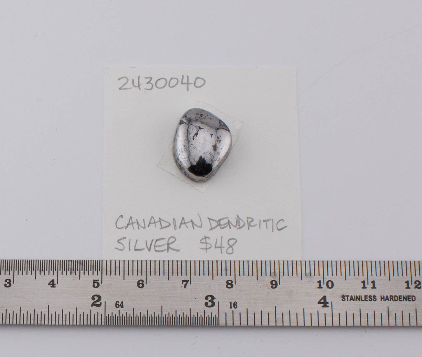 Canadian Dendritic Silver