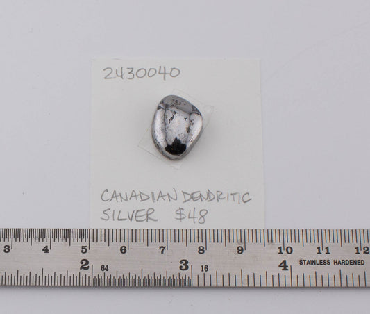 Canadian Dendritic Silver