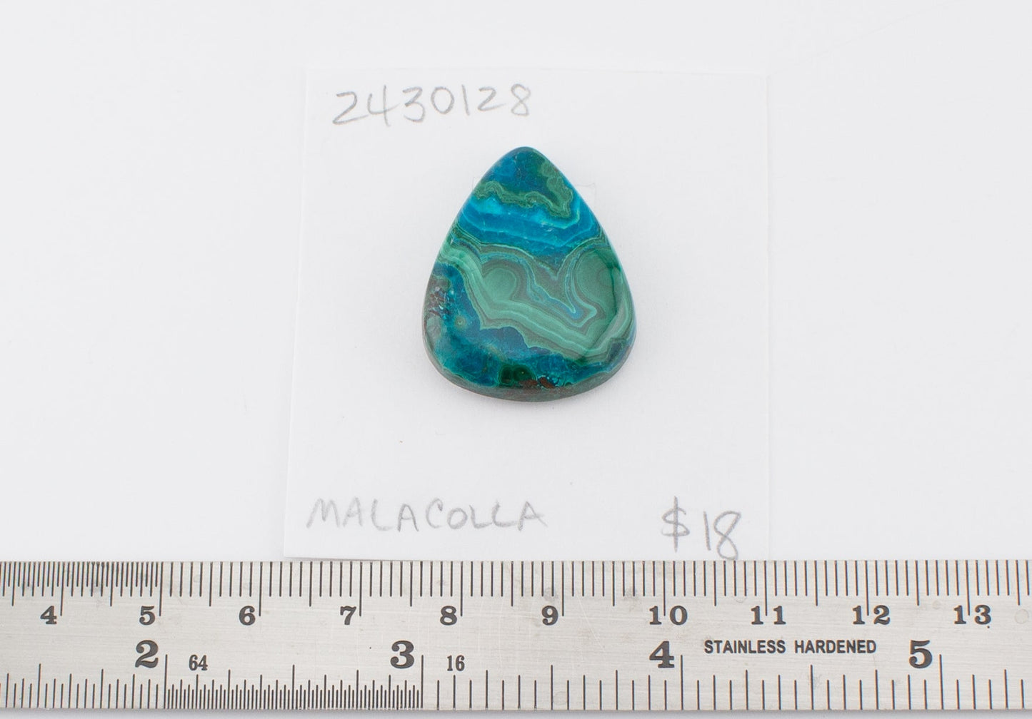 Malacolla