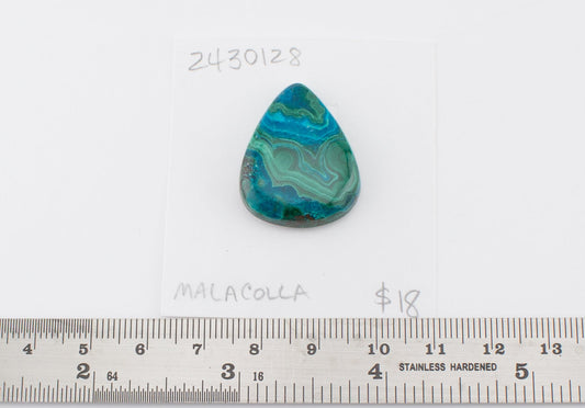 Malacolla