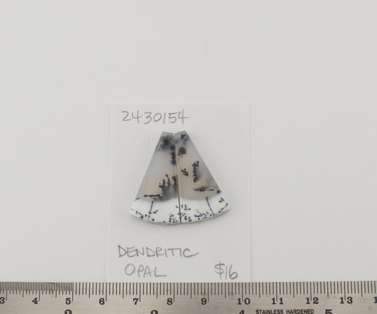 Dendritic Opal
