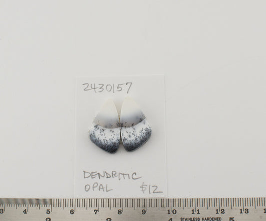 Dendritic Opal