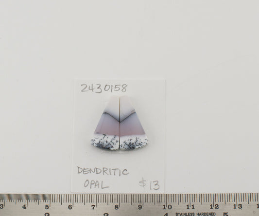 Dendritic Opal