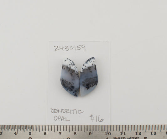 Dendritic Opal