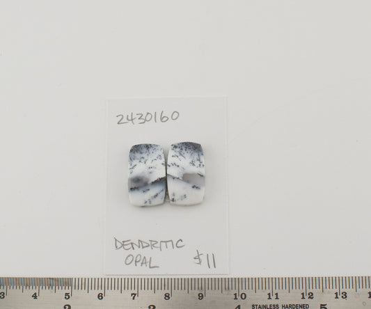 Dendritic Opal