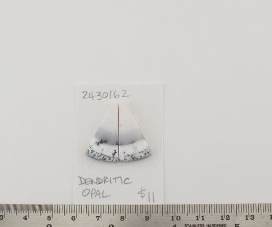 Dendritic Opal