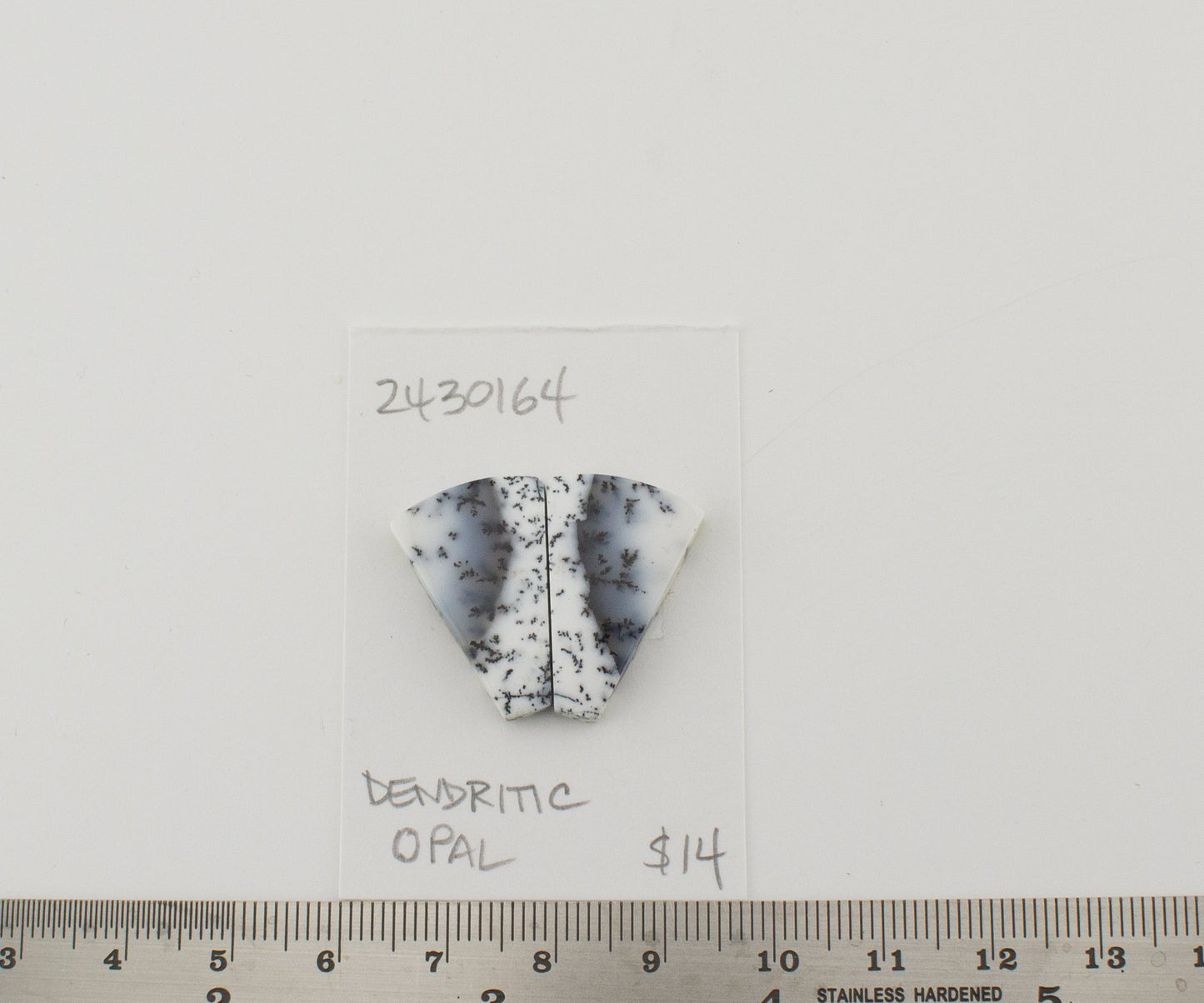 Dendritic Opal