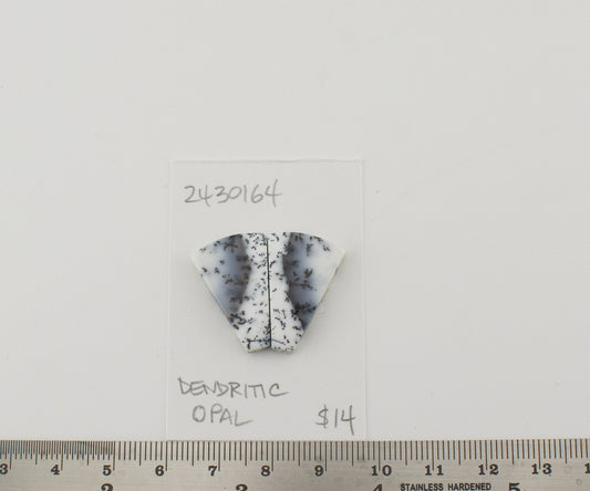 Dendritic Opal