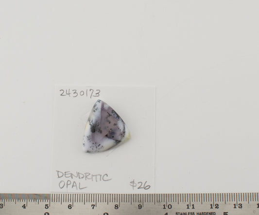 Dendritic Opal