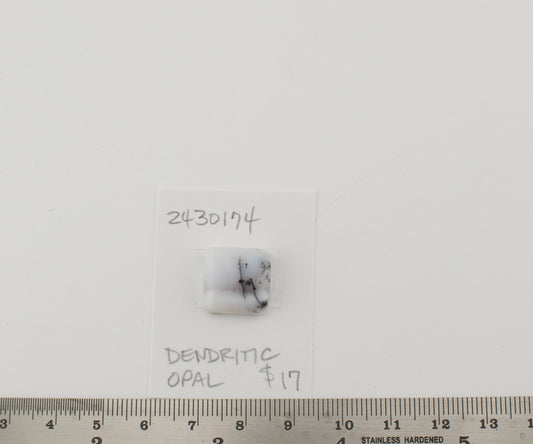 Dendritic Opal