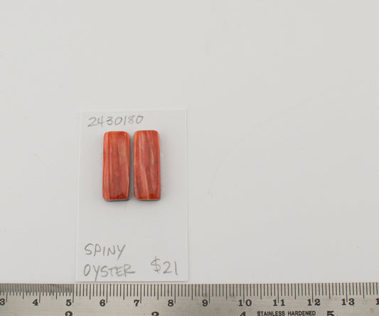 Spiney Oyster