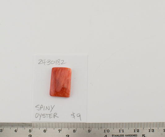 Spiney Oyster