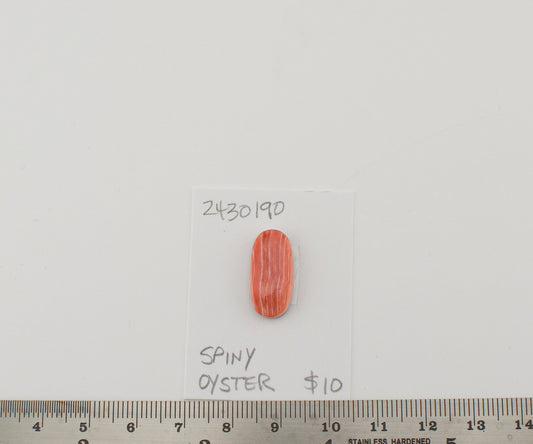 Spiney Oyster