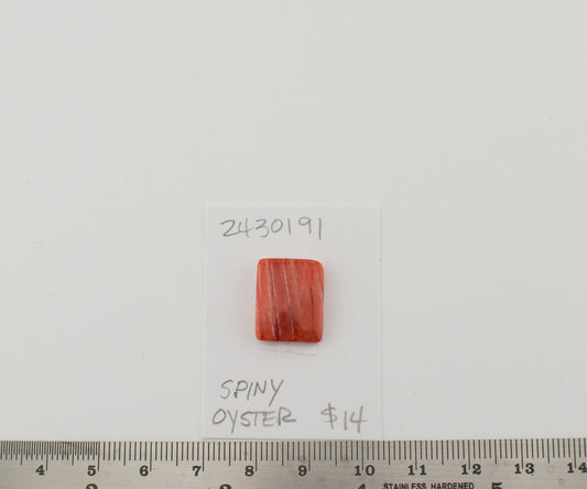 Spiney Oyster