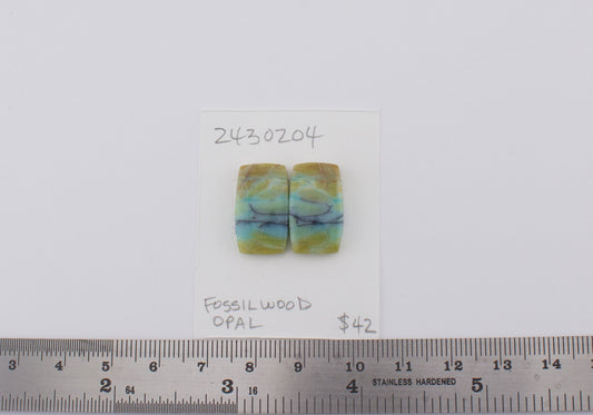 Fossilwood Opal