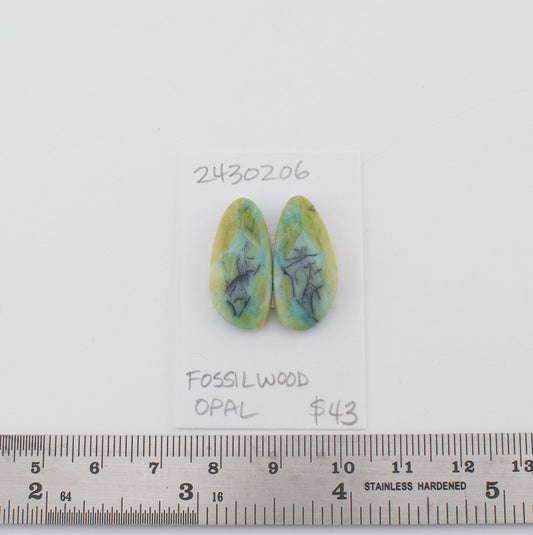 Fossilwood Opal