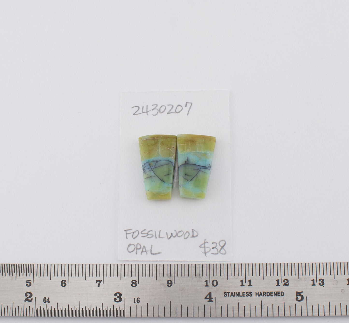 Fossilwood Opal