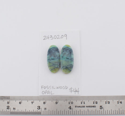 Fossilwood Opal