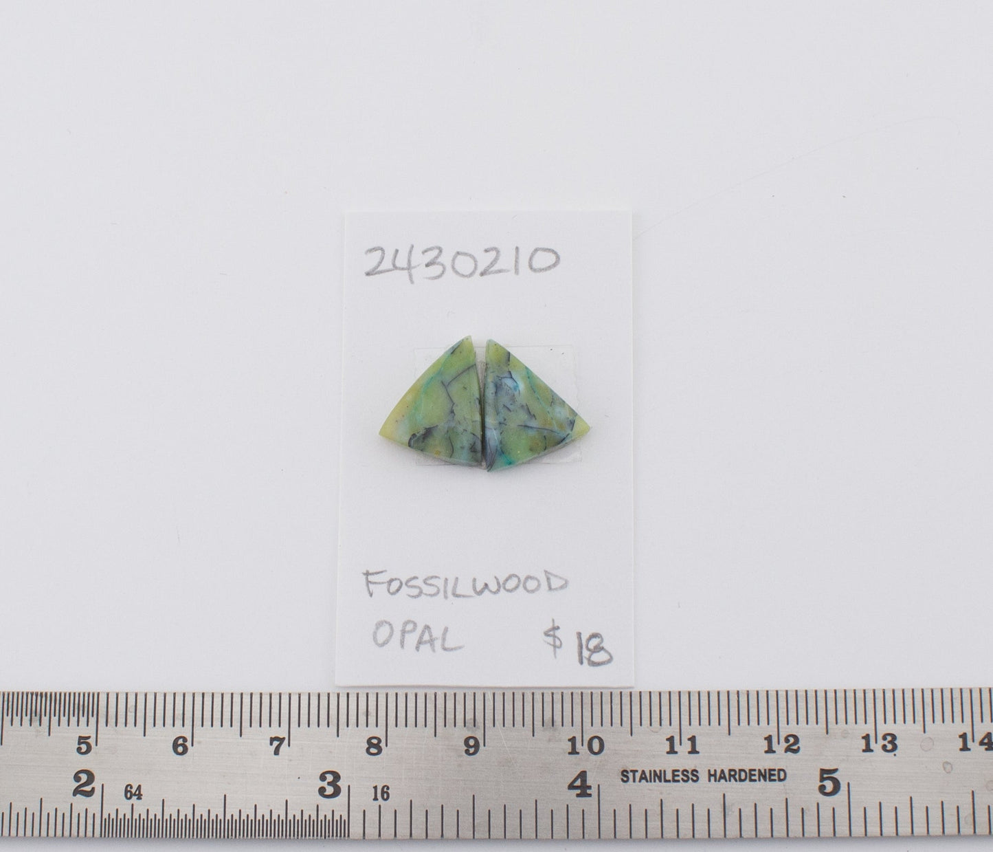 Fossilwood Opal