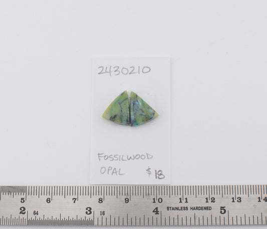 Fossilwood Opal