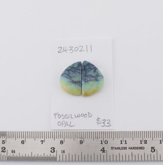 Fossilwood Opal