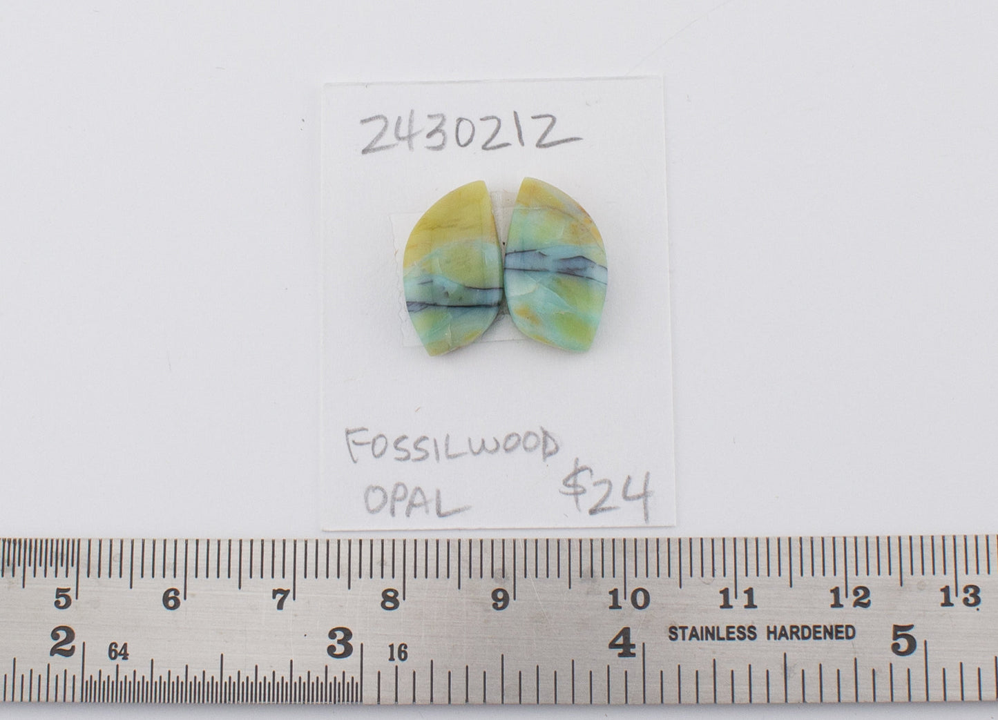 Fossilwood Opal