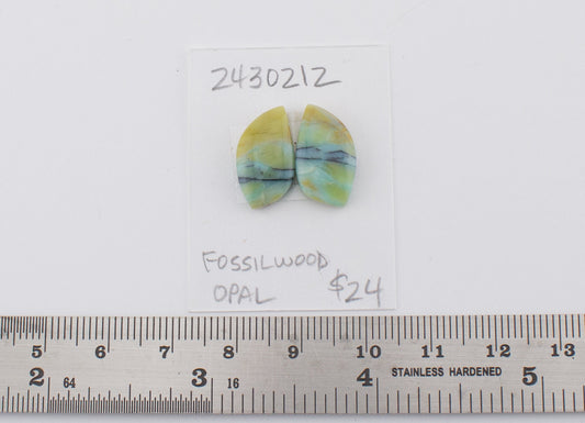 Fossilwood Opal