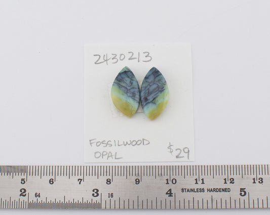 Fossilwood Opal