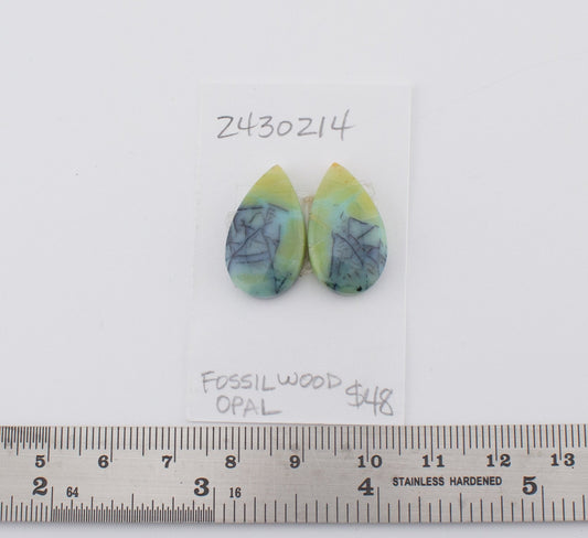 Fossilwood Opal
