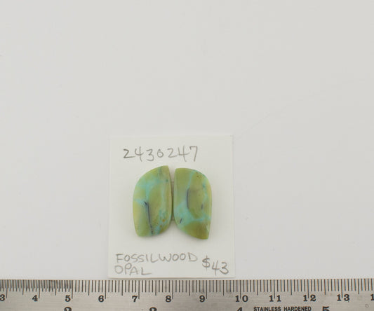 Fossilwood Opal